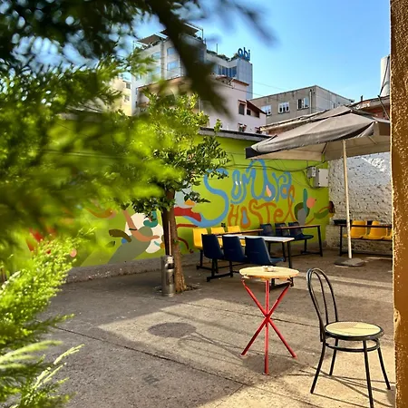 D1 * Tirana