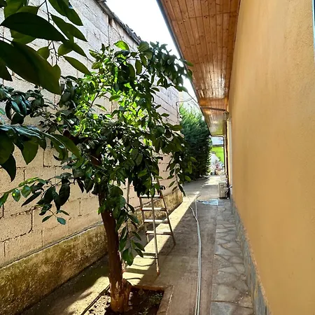 D1 Hostel Tirana